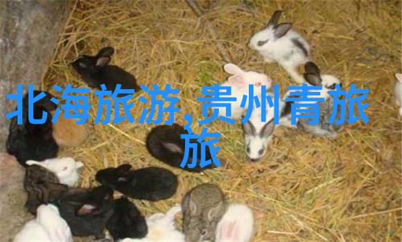 甜蜜创作小学生的自制点心之旅