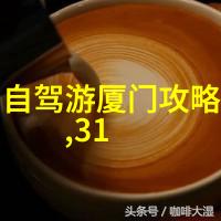 海贼王之最强副船长海贼王的顶尖权力继承者