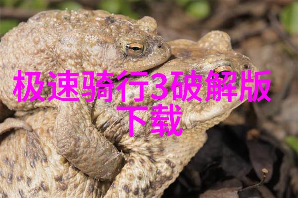 在千岛湖的迷雾中寻找未知自驾游背后的秘密有哪些
