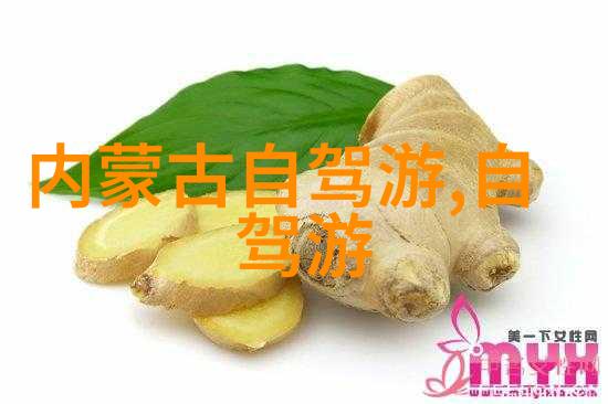 十一自驾游最佳路线我的豪华之旅从这里开始