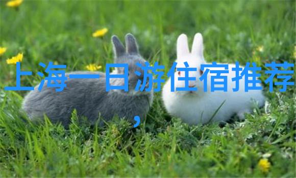 扬州自由行住宿攻略如何在古城中找到那份既舒适又不失韵味的归宿