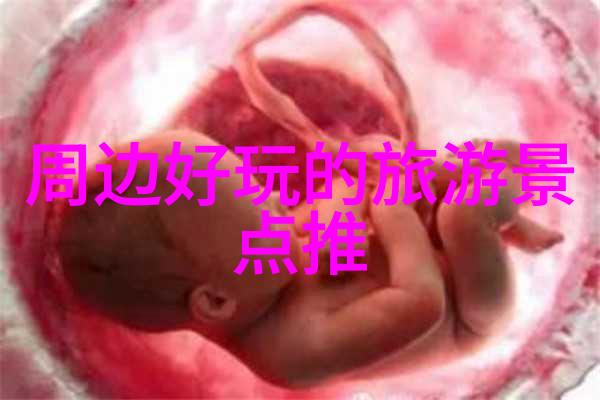 在探索武汉市内露营地点推荐时我们不禁要问这些地点是否能成为理想的场所满足团队拓展训练的意义