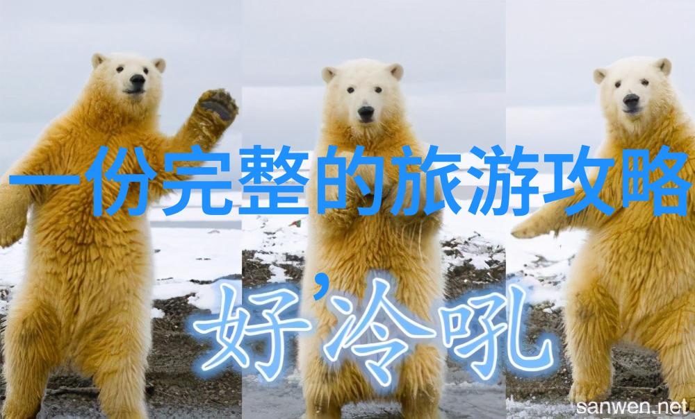 旅游游记我的足迹上的故事从迷失到发现
