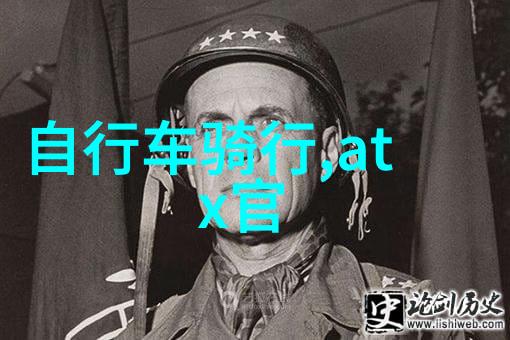 一小时骑行20公里快如闪电双十一优惠不等待秒杀如潮涌
