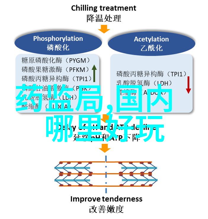 500字的游记作文初二-初二生探秘故乡一篇500字游记