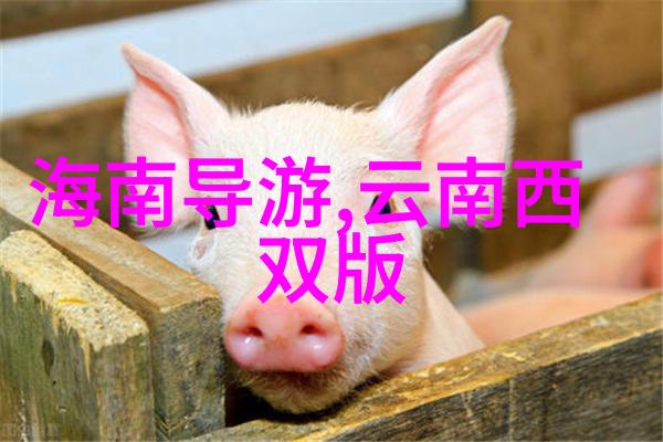 探秘世界奇观10个令人惊叹的旅游新星
