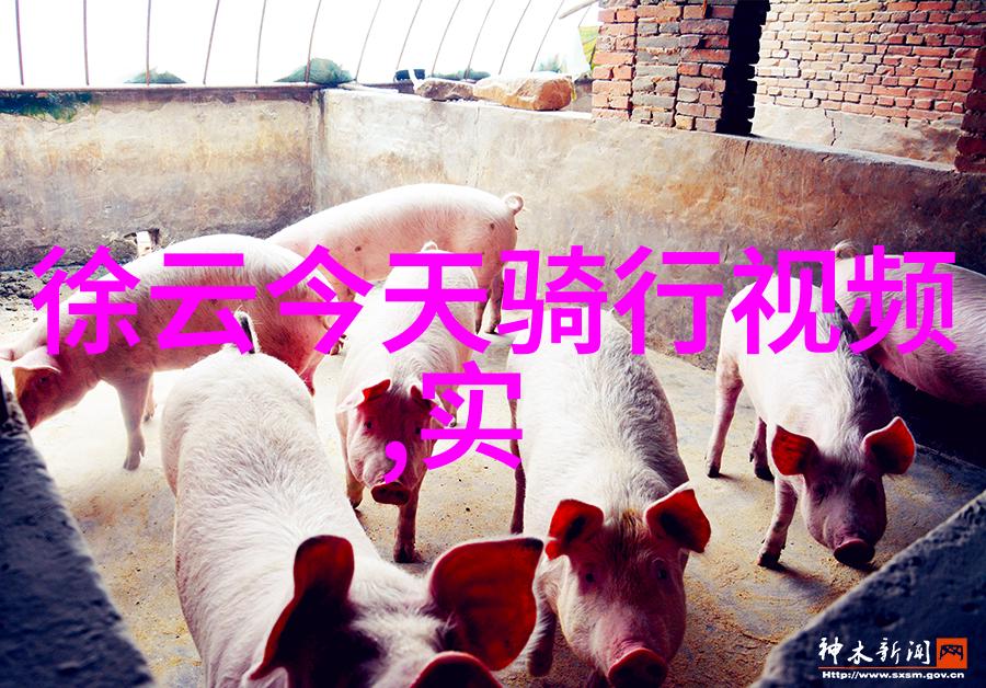 苏州美食探秘味蕾上的城市漫步