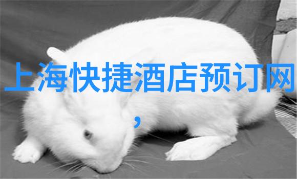 甘肃旅游自由行攻略探索甘肃古迹的绝佳路线