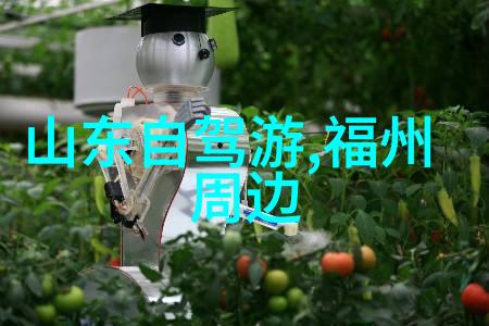 健康运动-风驰电掣骑自行车和跑步哪个更适合你