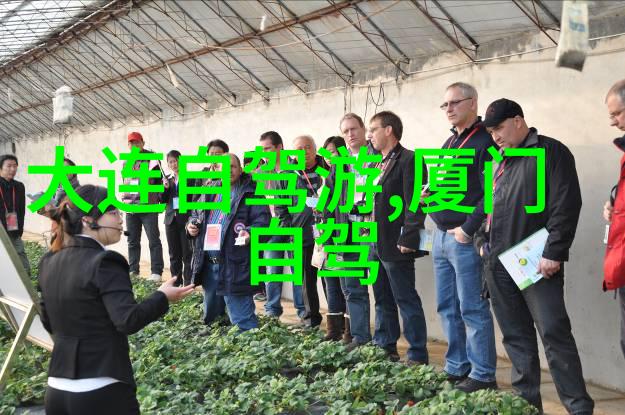 广州出发当天来回自驾游平安保险保障您畅游无忧探索哪些美景