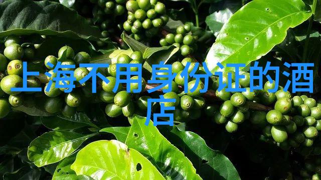 探索未知一段自驾旅行的英语冒险