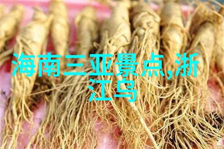 风雨无阻挑战自我公路骑行中的精神价值是什么