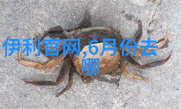 融合自然之韵城市骑行的艺术体验