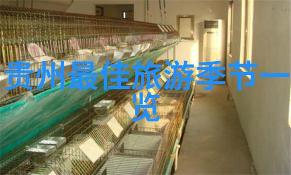 内江美景探索四川内江市的自然风光和文化遗迹