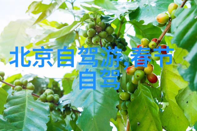 连云港海滨静谧与城市热闹的完美对比