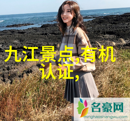 自驾游的安全之谜保险能解答一切问题吗
