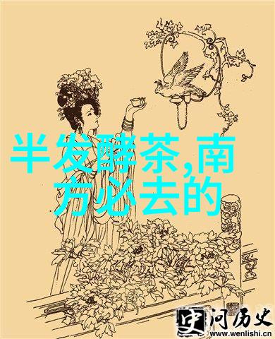 美食大探秘揭秘全球佳肴之谜