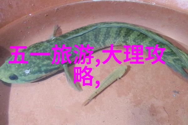 一路风景一路情318自驾游中的美食大探险