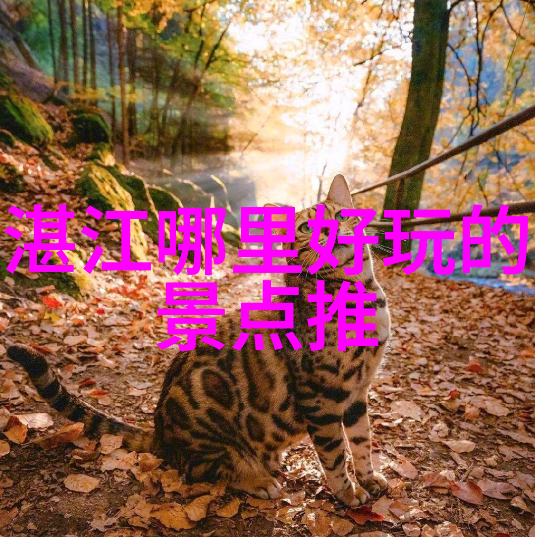 自行车运动对骨骼的影响是什么样的