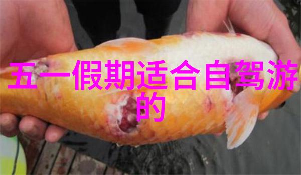 二手自行车出售二手自行车个人卖出