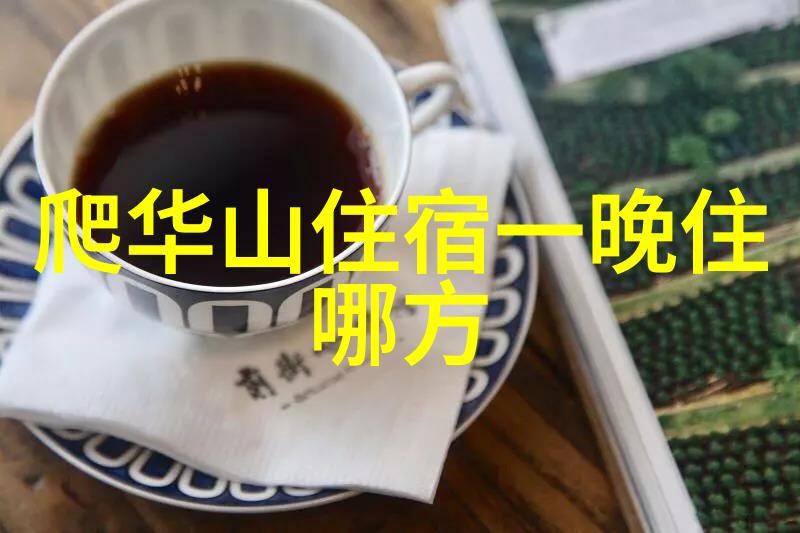 四年级学生的夏令营之旅夏日冒险营地体验
