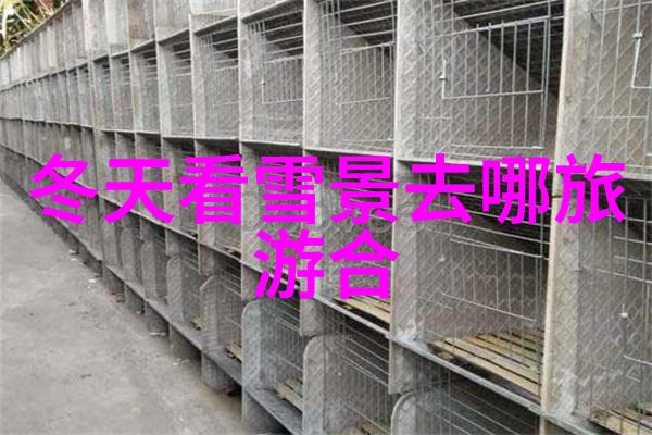 三四月份国内去哪旅游最好春暖花开的秘密地