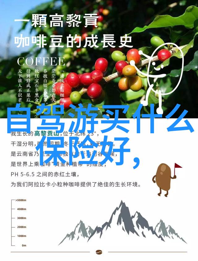 湖北探秘寻访古都武当山与奇境黄陂天文观测台