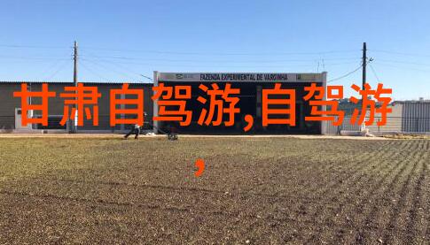 异域风情百态一程旅行的世界绘卷