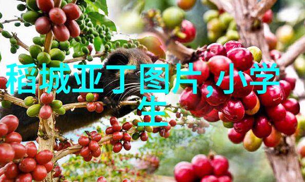 周末自驾游探索家乡美景之旅