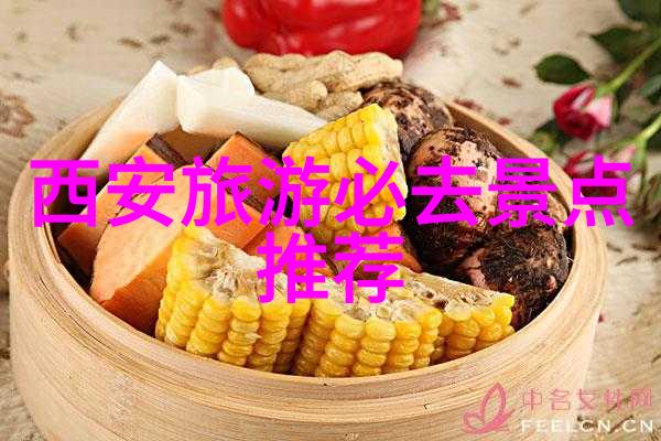 出国旅行所需文件和手续护照签证申请行程安排健康证明等