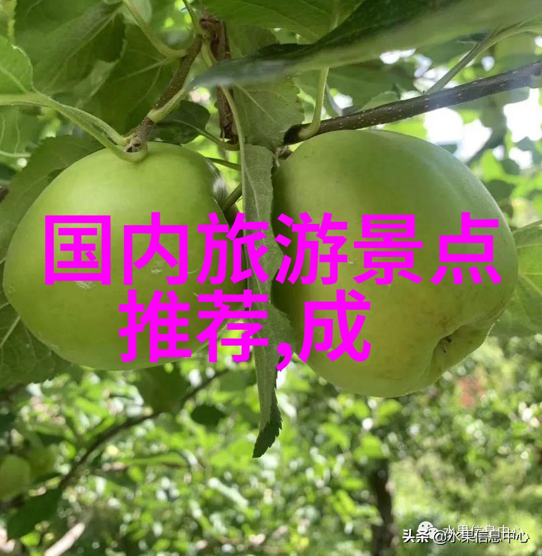 自然风光与都市热潮罗湖至观澜的自然奇观之旅