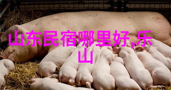 扬州古韵游记探秘江南水乡的魅力之地