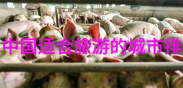 重生之绝对宠爱逆袭情缘的甜蜜传奇
