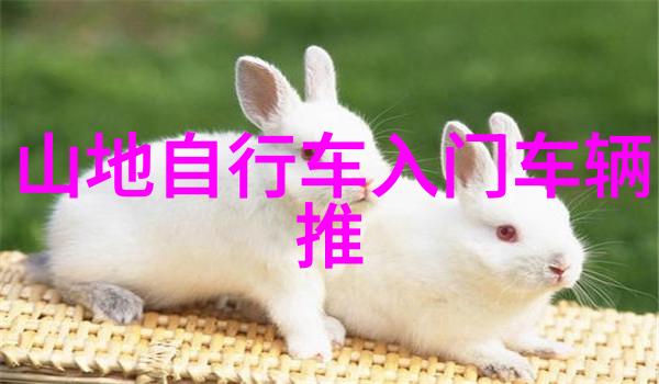 临时避风港探索便捷的30元住宿选项