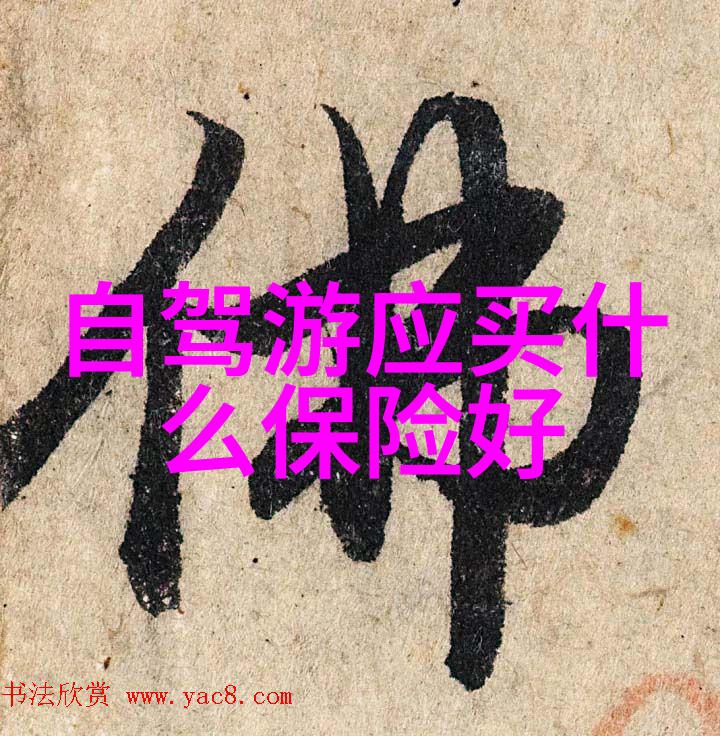 远方的足迹穿越时空的旅行故事