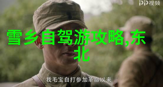 流行音乐视频免费尽览揭秘韩日MV的无缝观看体验