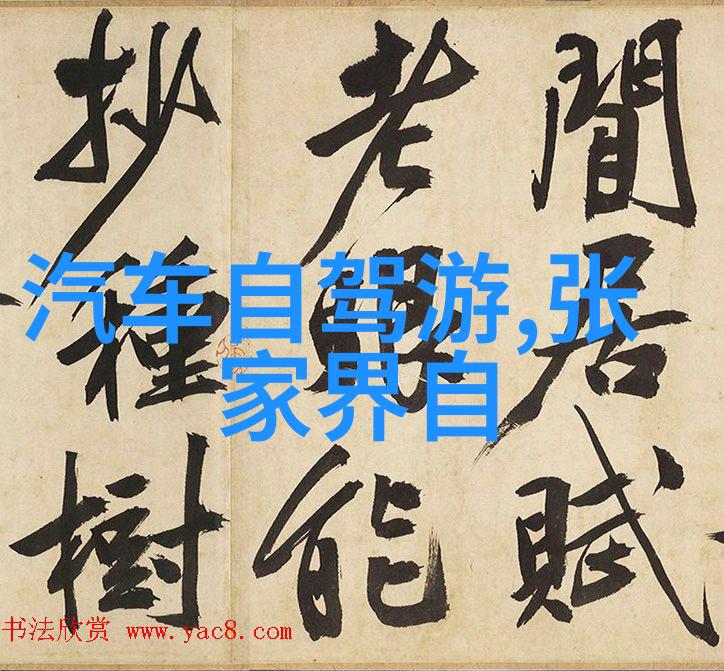 山地自行车模拟器体验真正的山地骑行乐趣