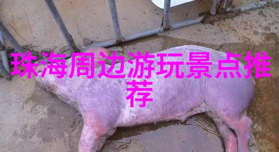 幼儿园小班户外活动有哪些-探索童年幼儿园小班户外活动的多彩世界