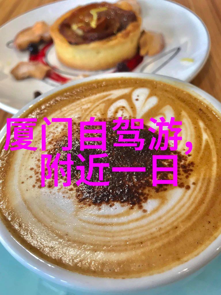 厦门最好的小吃一条街在哪里-探秘海岛美食厦门小吃大盛会