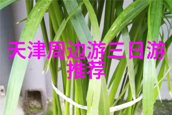 宠奴的逆袭我是宠物如何从奴隶变身为主子