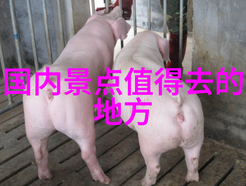 淑蓉再次寻求卫老的止痒秘方淑蓉的第二次访望与止痒之旅