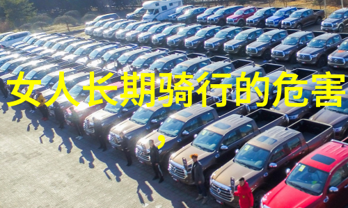 探索下厨房的金银花免费阅读之旅无广告障碍