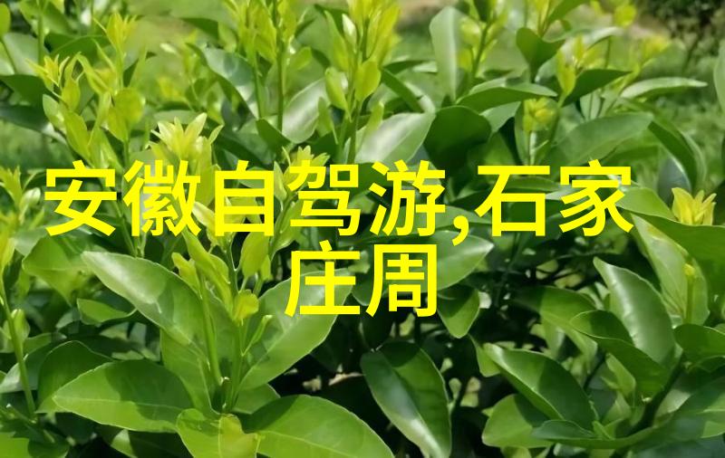 云端八面镜山房之旅