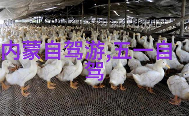 香格里拉旅游攻略景点大全-探索天空之城一站式指南