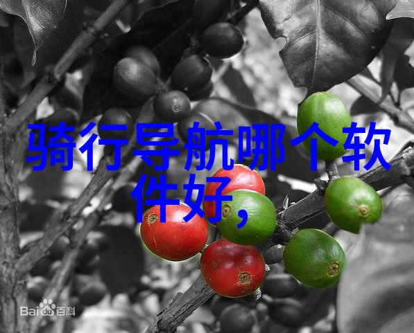 冬日南疆冰雪与热情的交响篇