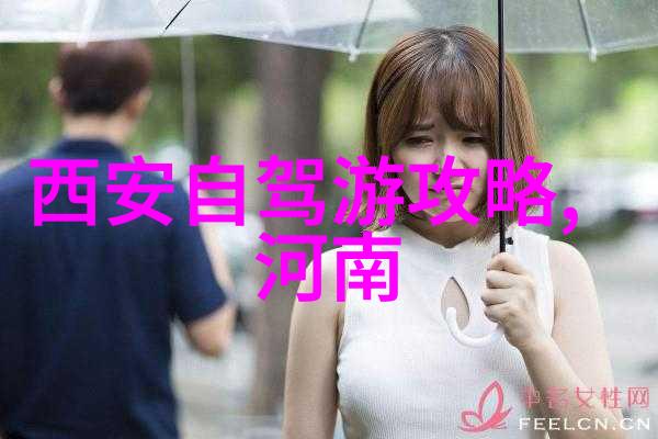 云南风情从喧嚣都市到宁静古镇的旅行奇遇
