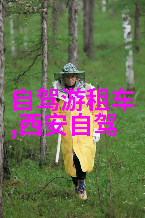 50个中班户外活动游戏能否帮助孩子们增强体质