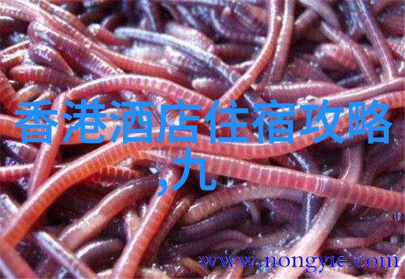 镜头裂变后现代主义电影中的叙事无界