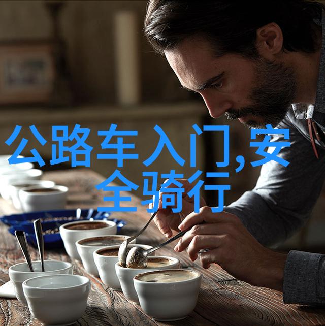 男孩独腿骑行跨越国界体验公路之旅的双刃剑76天4100公里的征程与环球梦想