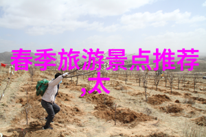 西安周末可以办护照吗
